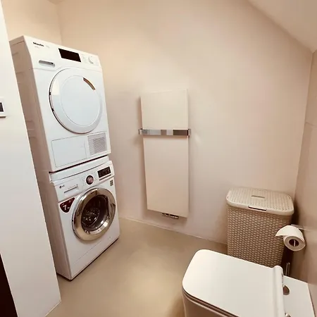 Apartman Valori - Mezonet 100M2 Podebrady Exterior photo